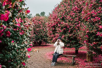 🏞️ 씨 뿌리는 곤베에 마을 (타네마키 곤베에노 사토) 이미지 2